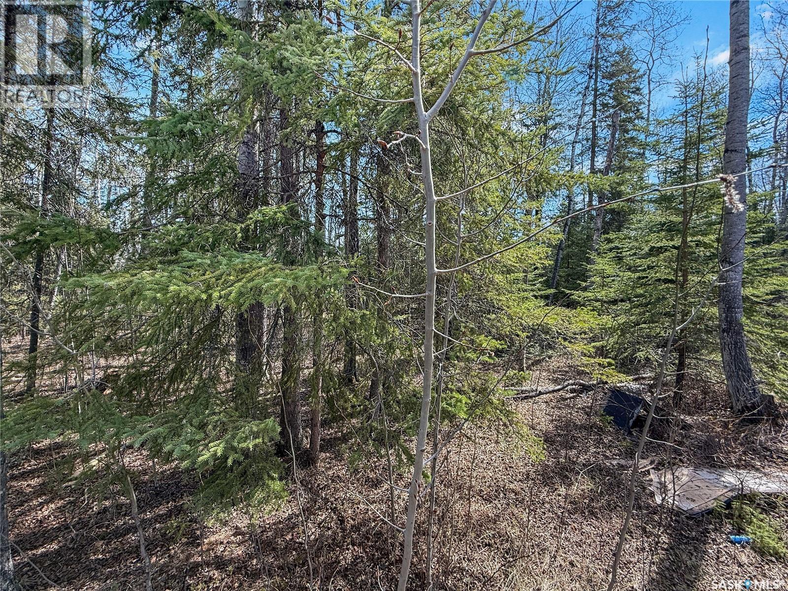 12 5Th Avenue, Candle Lake, SK - Outdoor With View