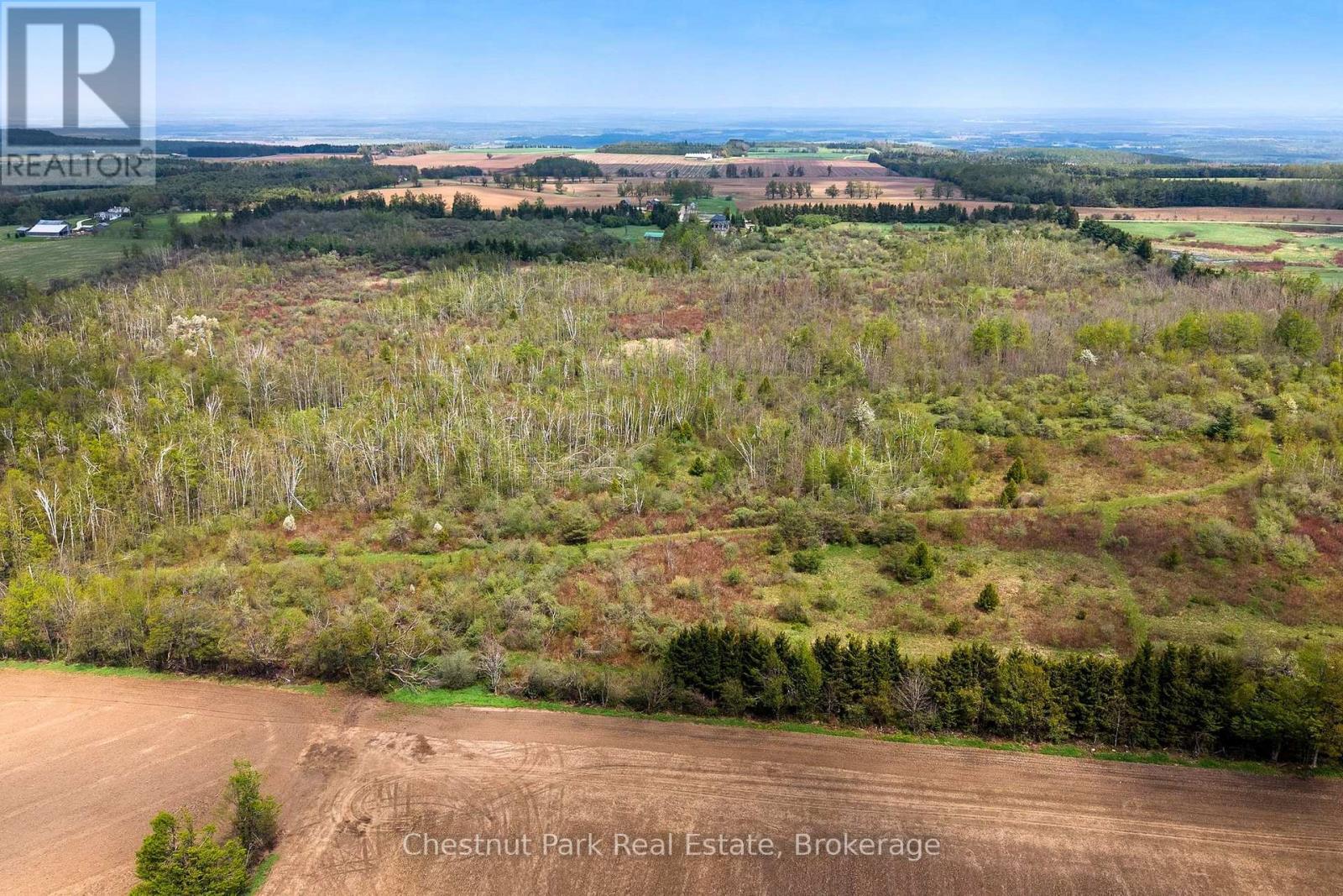 758510 2Nd Line E, Mulmur, ON - Outdoor With View