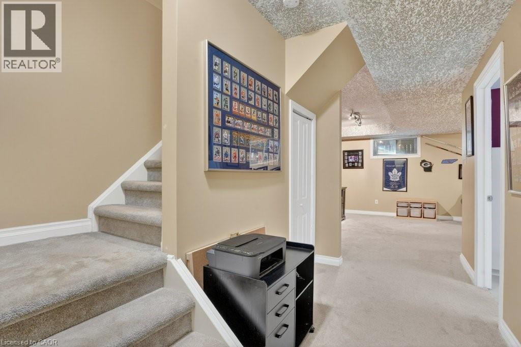 Basement - 222 Grey Fox Drive, Kitchener, ON - Indoor