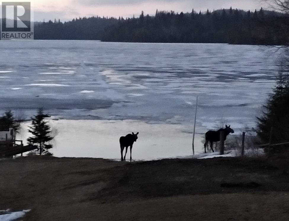 22 Catfish Rd, Wawa, ON - Outdoor With Body Of Water With View