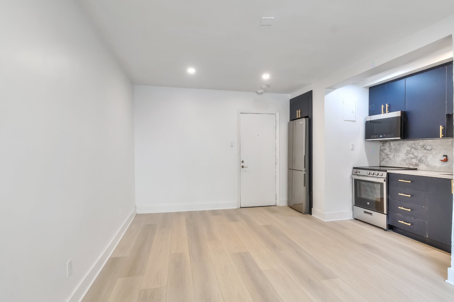 Garçonnière - 2-1201 Av. Hope, Montréal (Ville-Marie), QC - Indoor