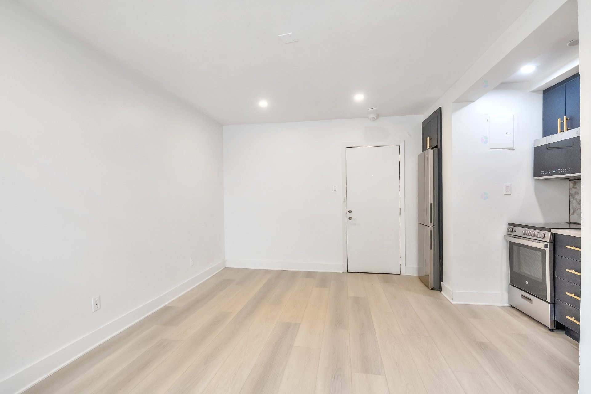 Garçonnière - 2-1201 Av. Hope, Montréal (Ville-Marie), QC - Indoor Photo Showing Other Room