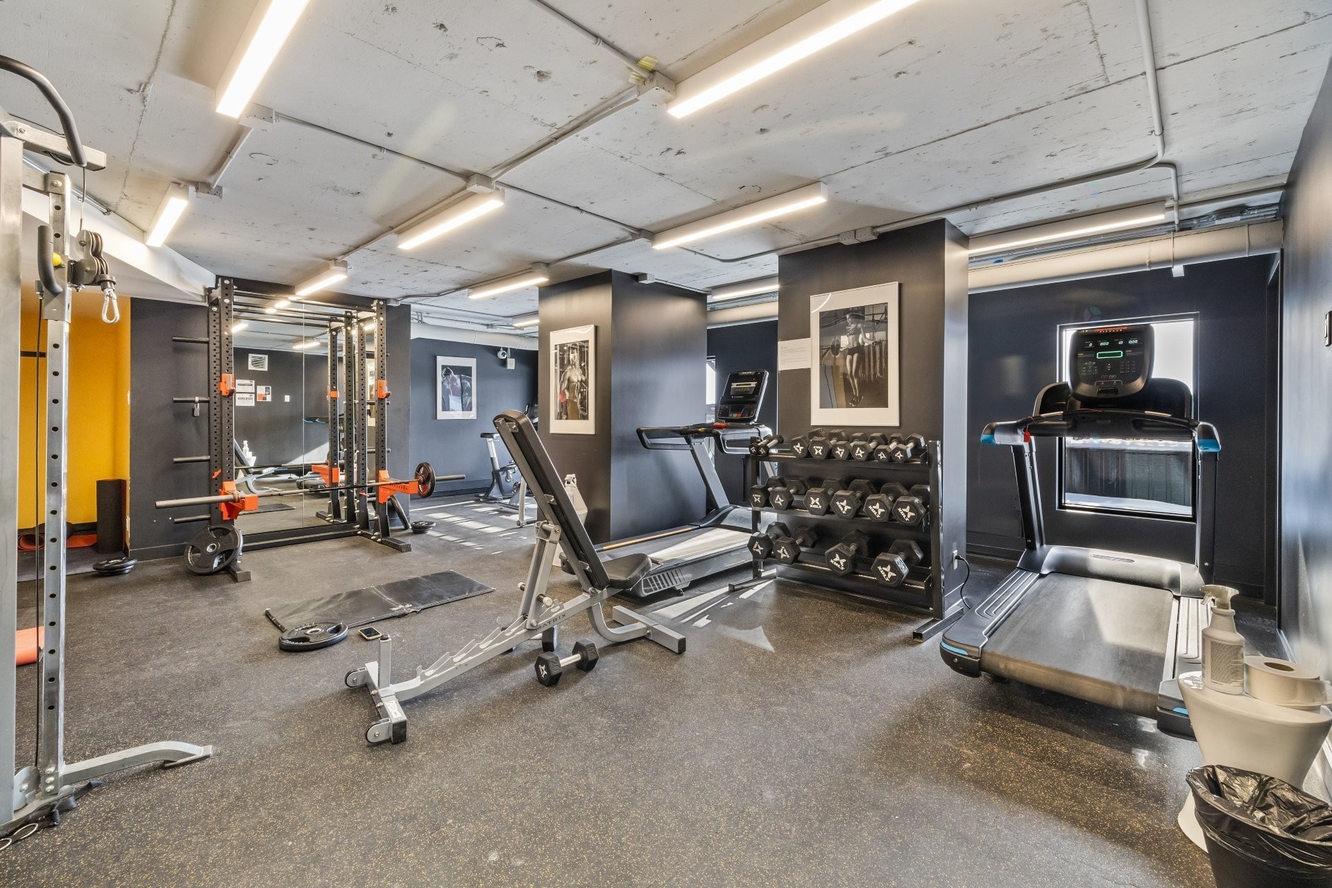 Exercise Room - 208-3475 Rue De La Montagne, Montréal (Ville-Marie), QC - Indoor Photo Showing Gym Room