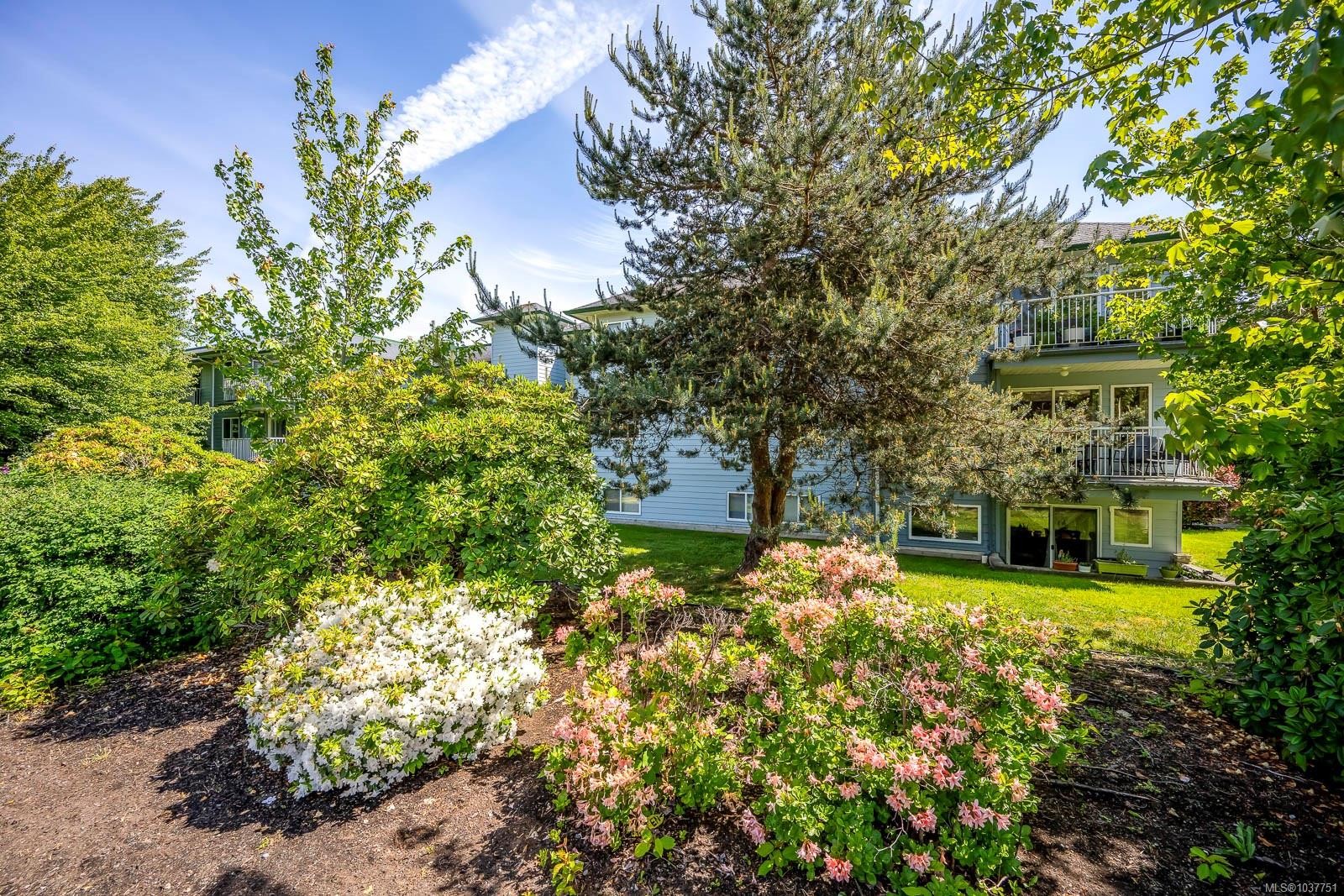 #101B-698 Aspen Rd, Comox, BC - Outdoor