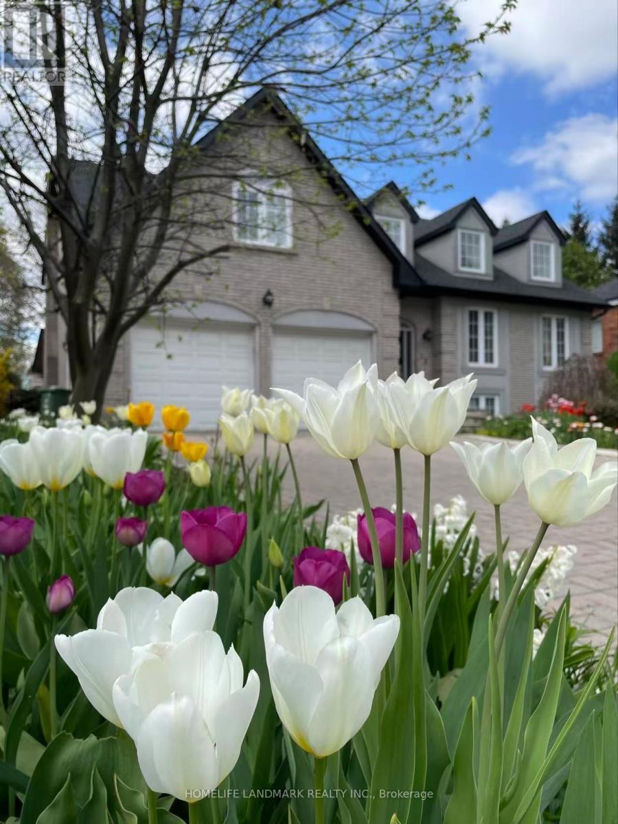 38 Balfour Drive, Hamilton, ON - Outdoor