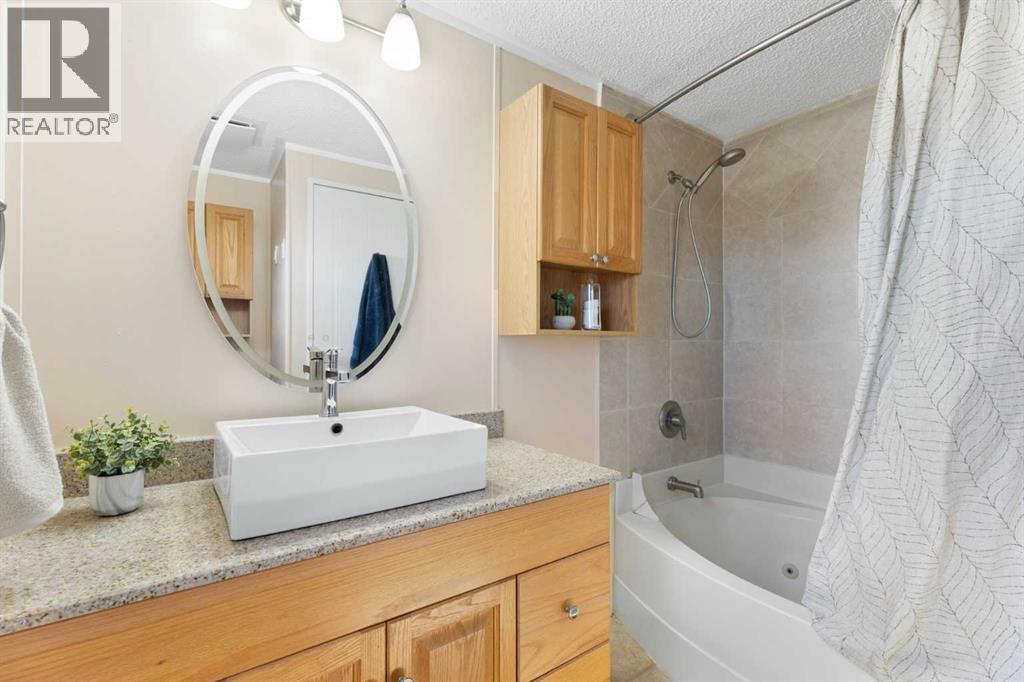 245042 Range Road 251, Rural Wheatland County, AB - Indoor Photo Showing Bathroom
