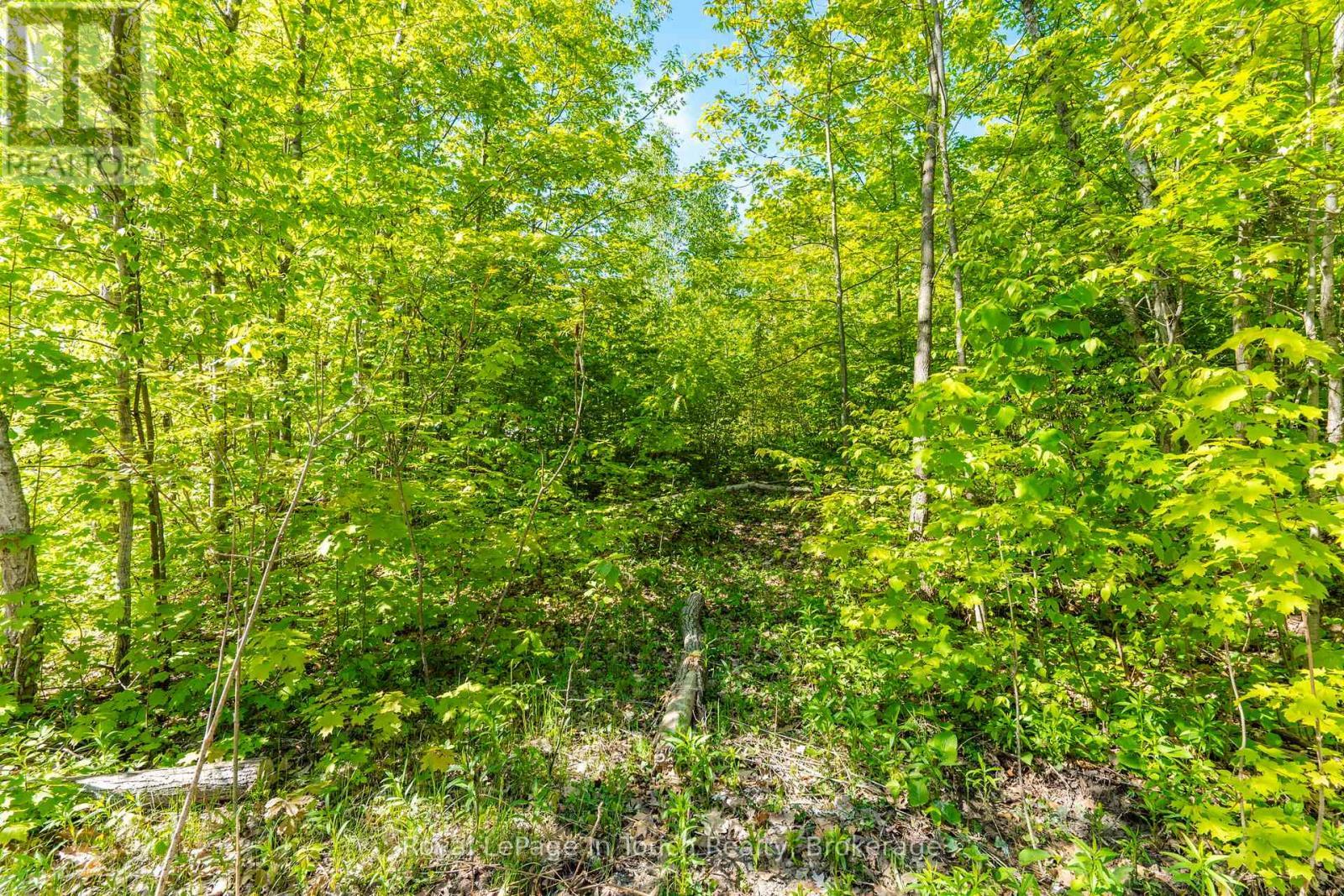 The Vacant Lot - 1536 Champlain Road, Tiny, ON