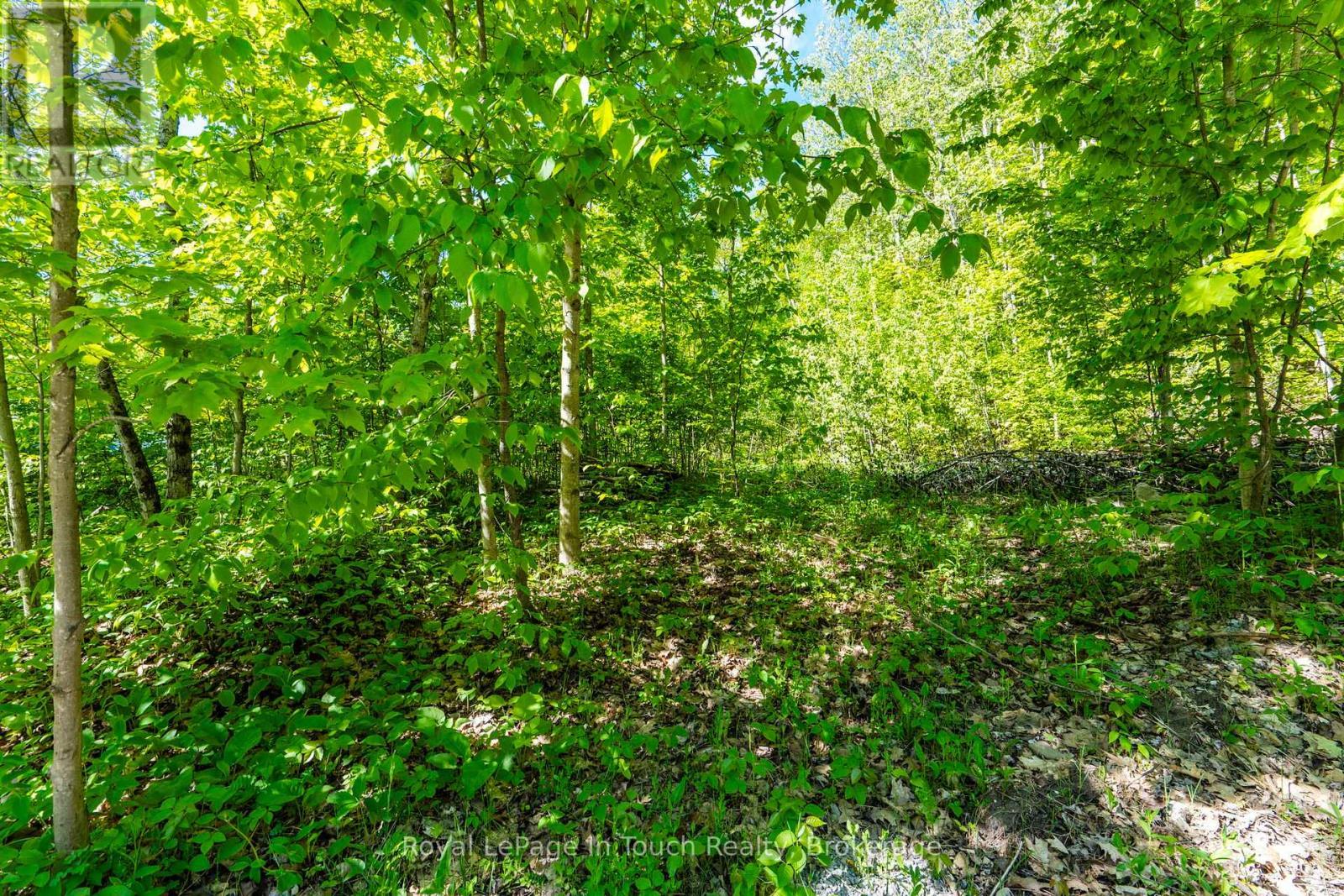 1536 Champlain Rd - 1536 Champlain Road, Tiny, ON