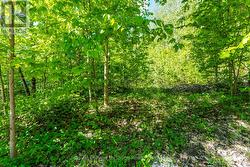1536 Champlain Rd -