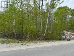 Treed Lot, Natural Gas Available -