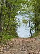 Access to the Water Located Directly Across the St -