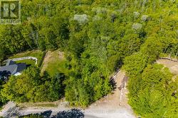 Treed Property-Aerial -