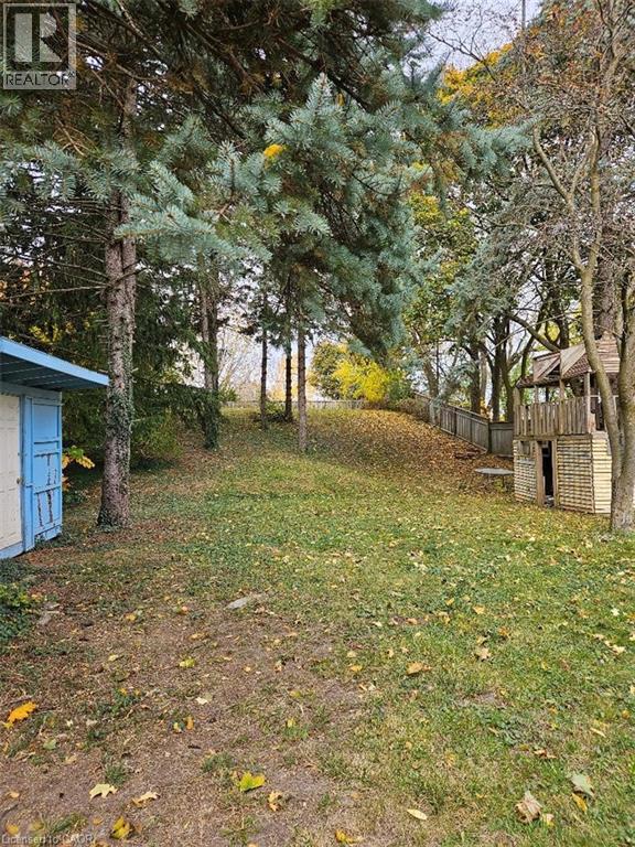 Expansive backyard featuring a gently sloping lawn, mature evergreen trees, and a wooden play structure - 1154 Queens Boulevard, Kitchener, ON - Outdoor