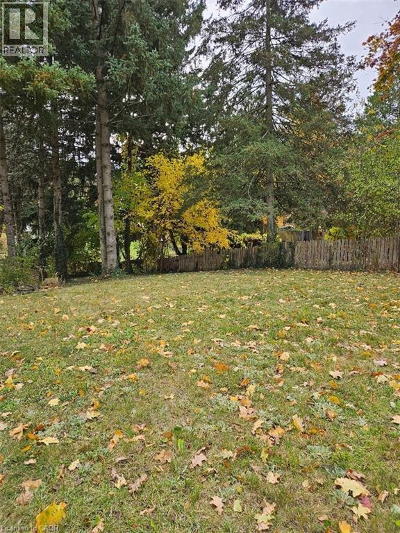 Expansive green lawn with scattered autumn leaves - 1154 Queens Boulevard, Kitchener, ON - Outdoor