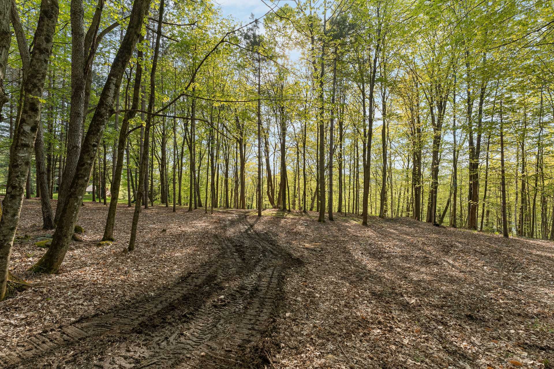 Terre/Terrain - Ch. De Cedarville, Ogden, QC
