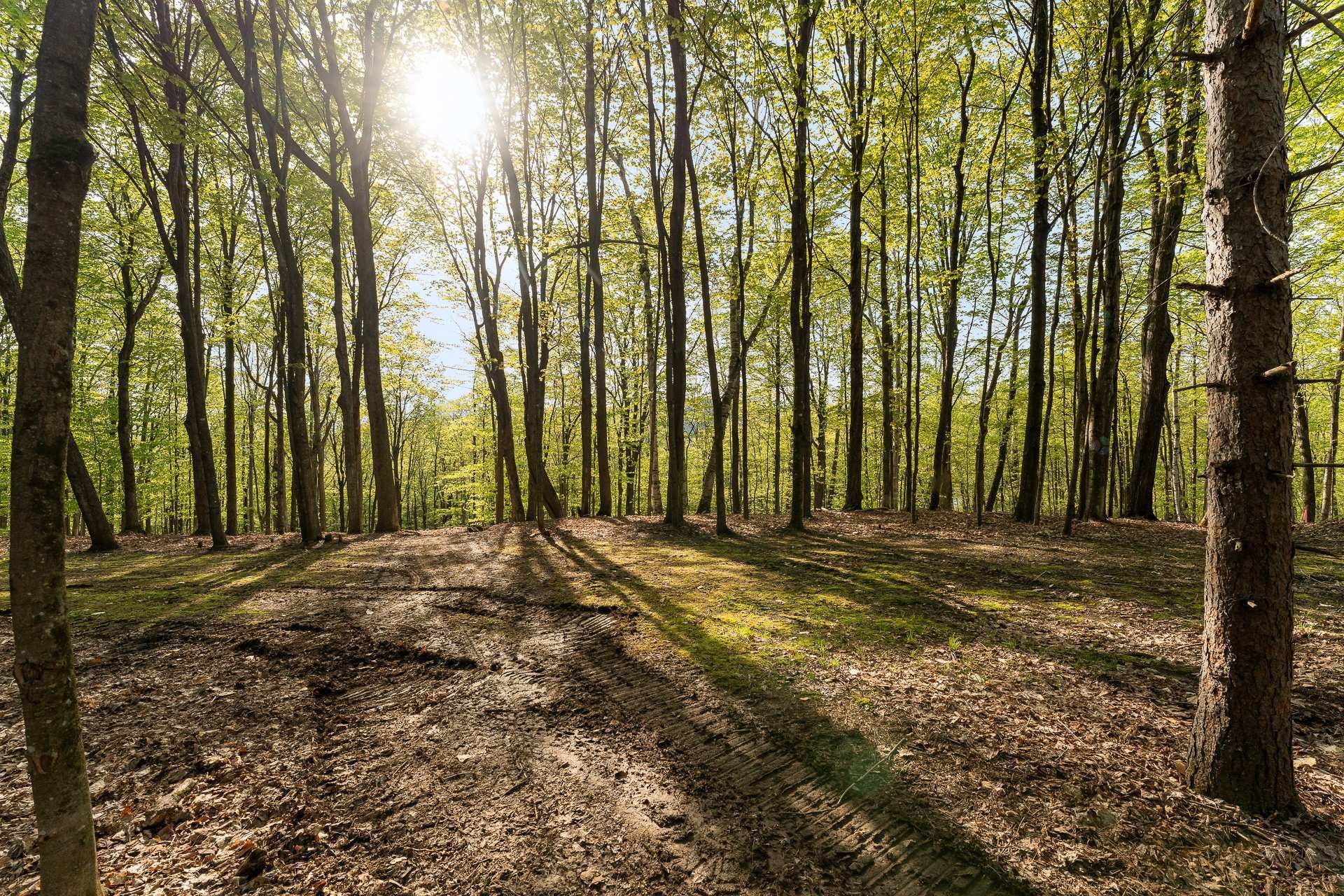 Terre/Terrain - Ch. De Cedarville, Ogden, QC