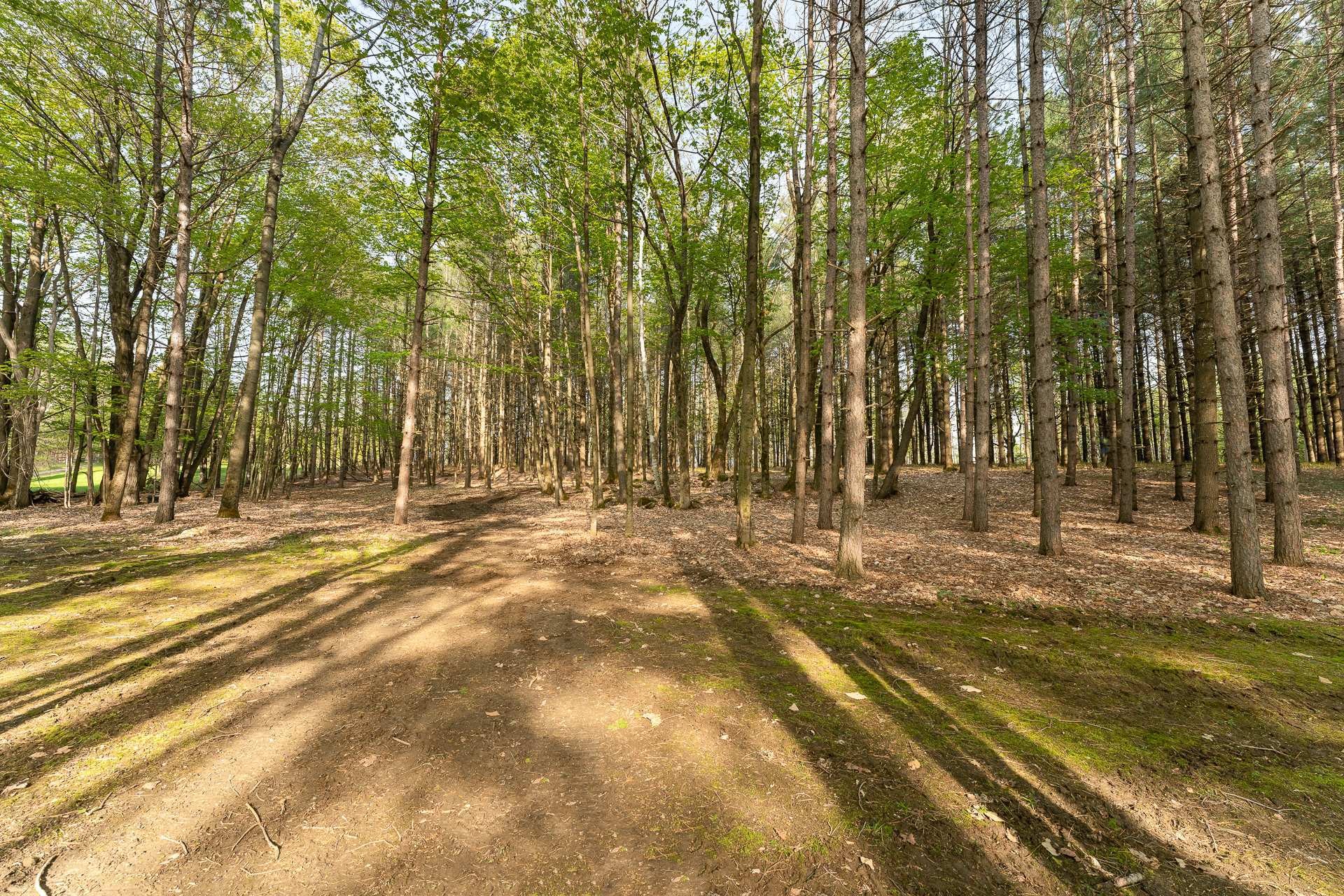 Terre/Terrain - Ch. De Cedarville, Ogden, QC