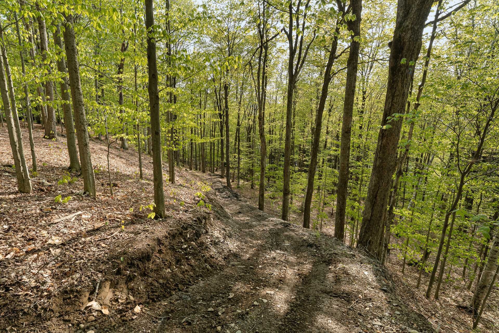 Terre/Terrain - Ch. De Cedarville, Ogden, QC