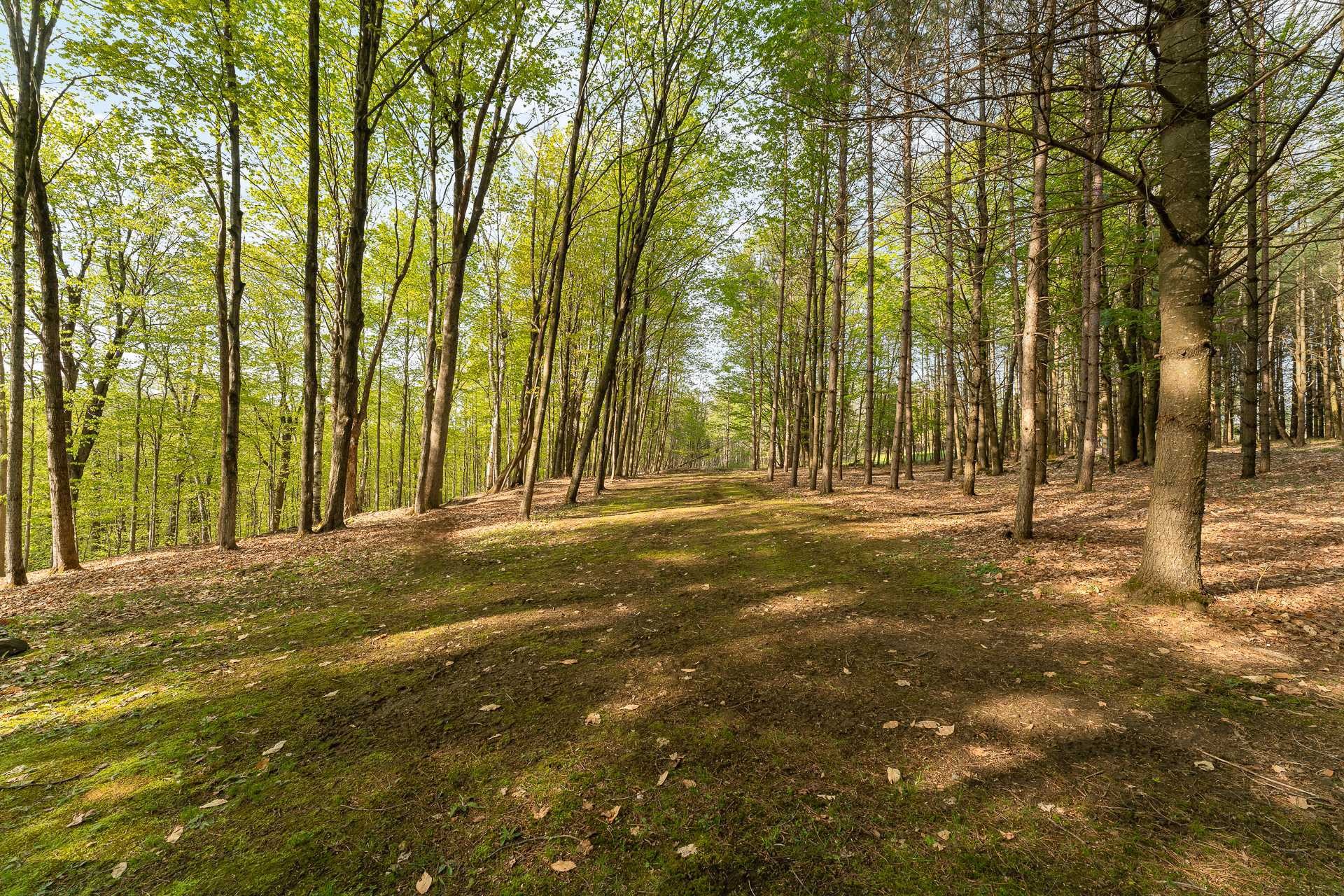 Terre/Terrain - Ch. De Cedarville, Ogden, QC