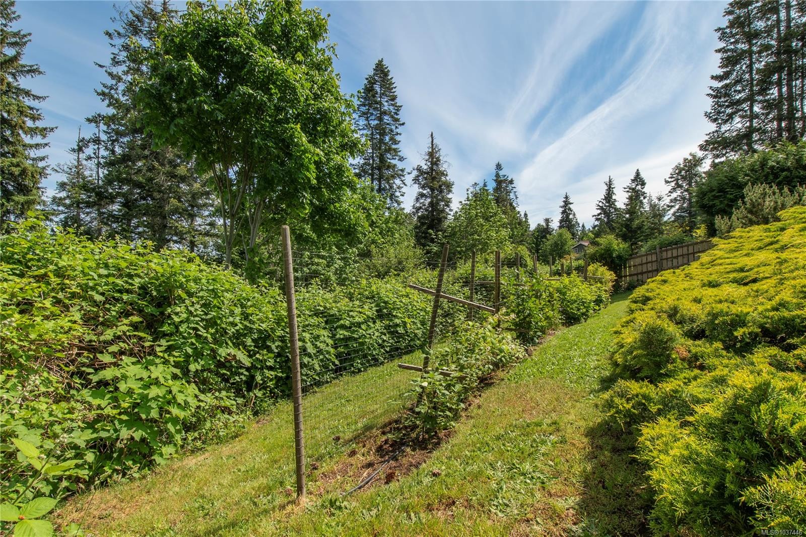 229 Quadra Loop, Quadra Island, BC