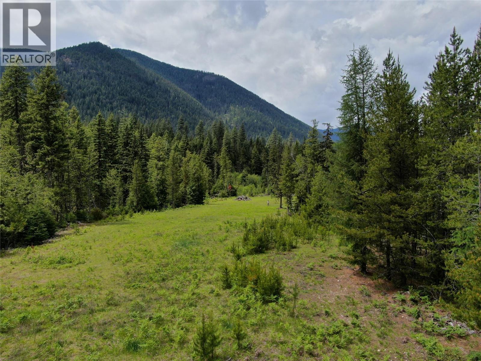 3809 Passmore Upper Road, Passmore, BC