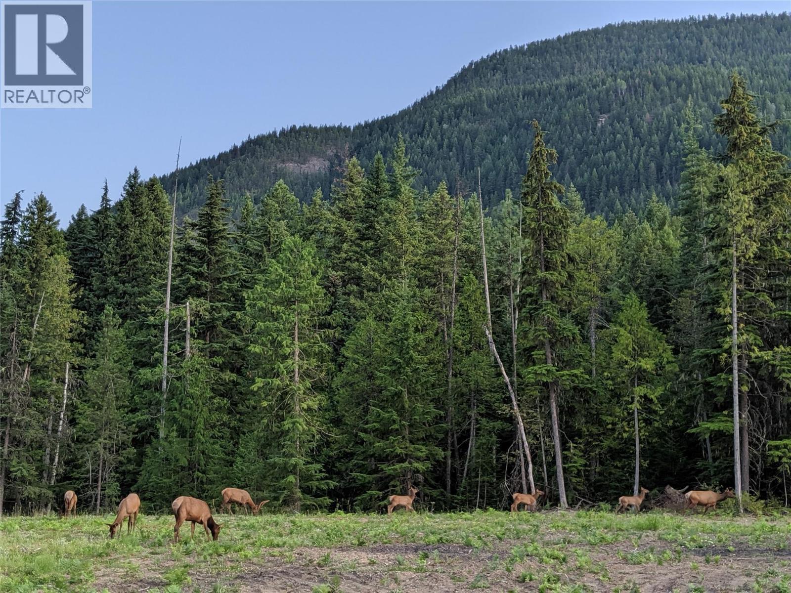 Yes, these are real Elk - 3809 Passmore Upper Road, Passmore, BC