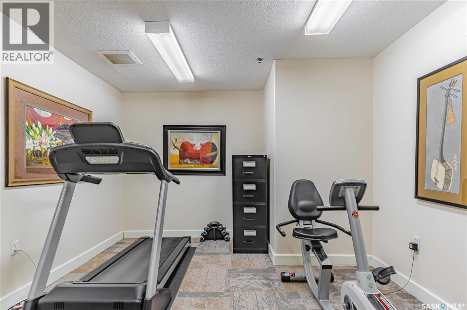 215 2213 Adelaide Street E, Saskatoon, SK - Indoor Photo Showing Gym Room