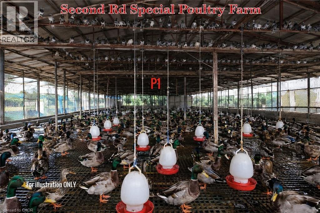 Large agricultural structure featuring a metal frame and overhead roofing - 96 Second Road E, Stoney Creek, ON -