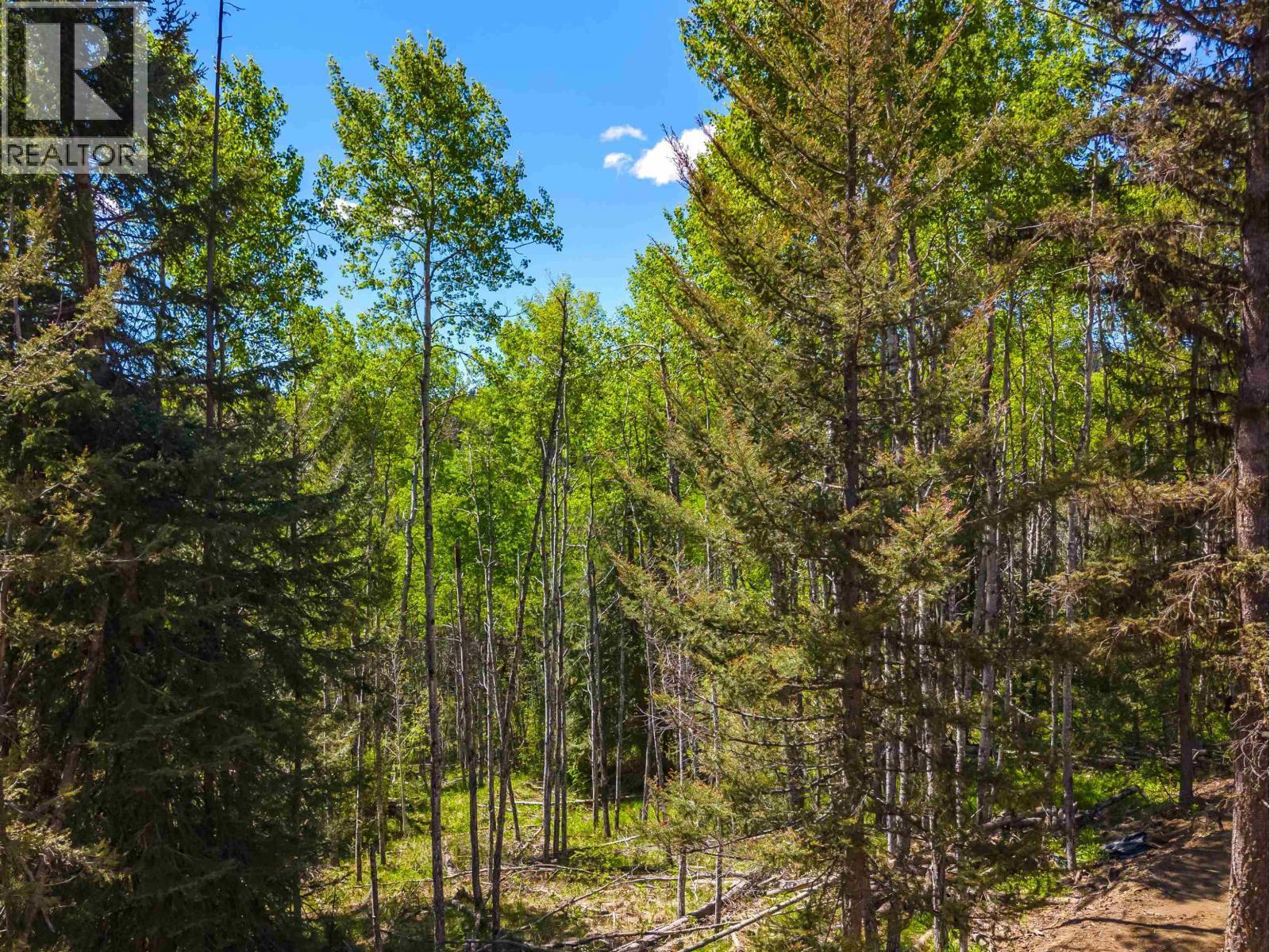 6282 Hillside Drive, Forest Grove, BC - Outdoor With View