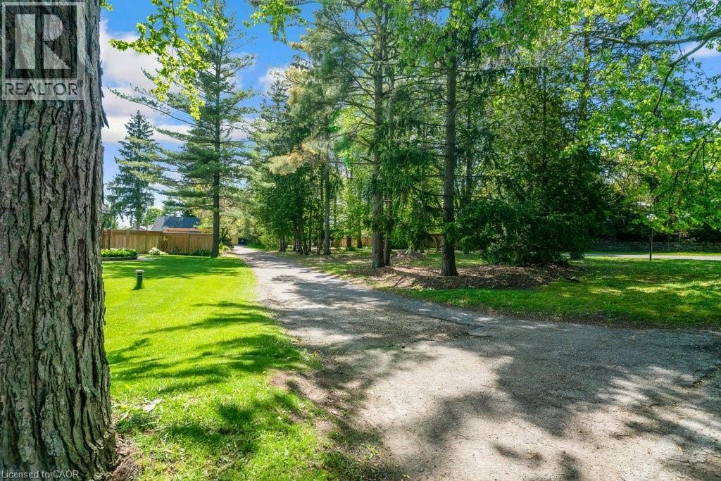 Expansive property featuring a gravel driveway, mature trees, and a manicured lawn - 91 Limerick Drive, Kitchener, ON - Outdoor With View