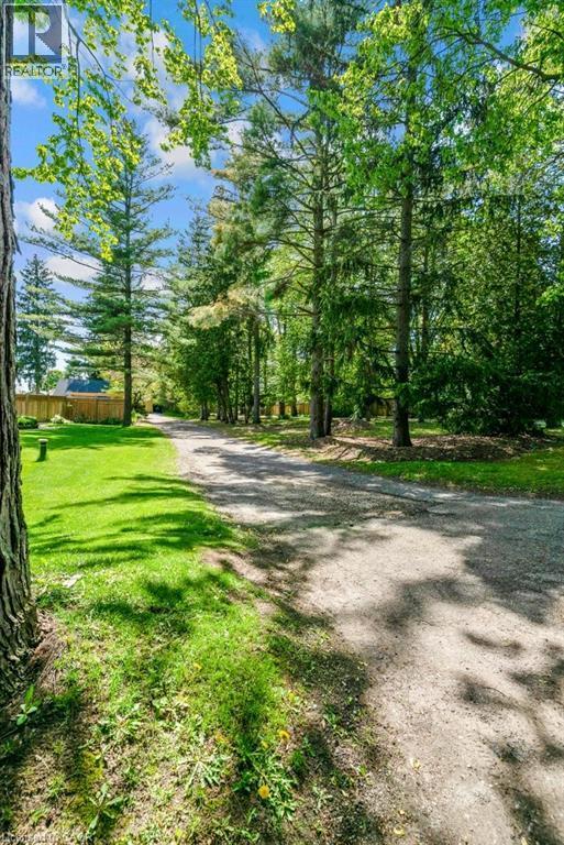 Expansive natural landscape featuring a gravel pathway - 91 Limerick Drive, Kitchener, ON - Outdoor With View