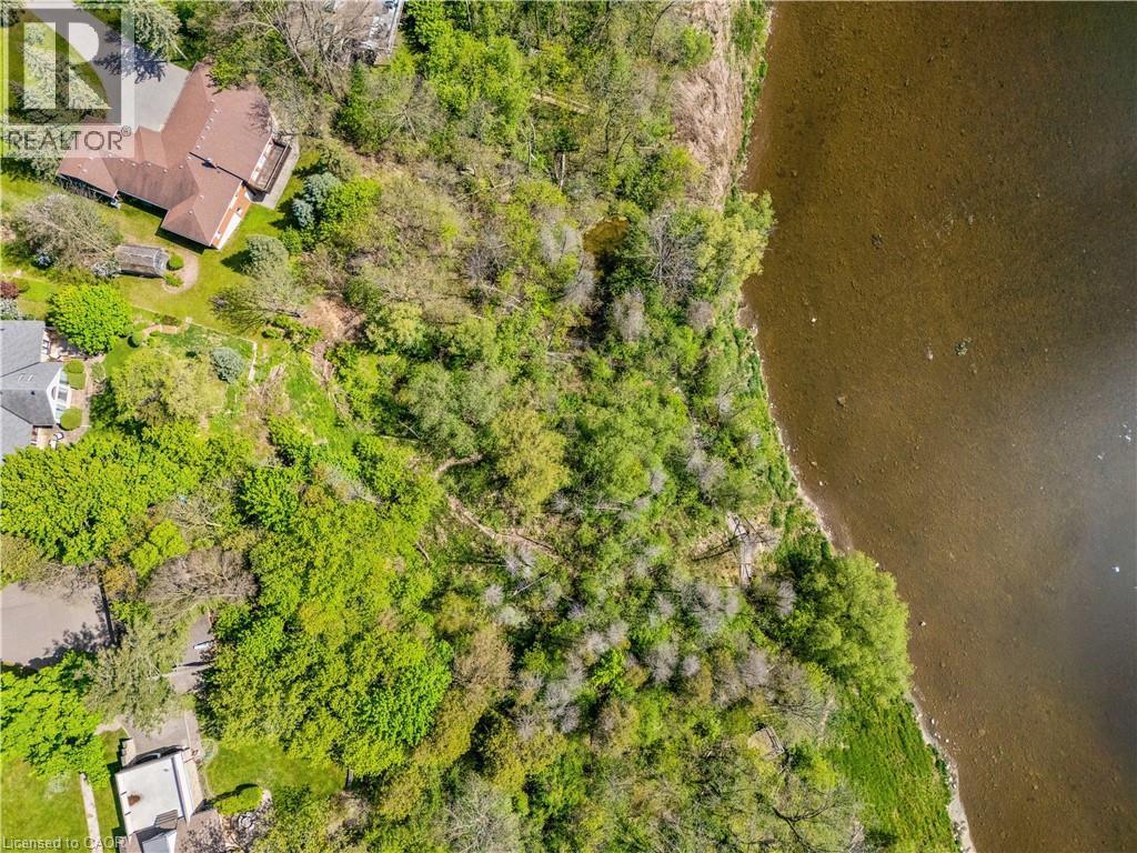 Expansive wooded land featuring a substantial waterfrontage, mature trees, and varying topography - 91 Limerick Drive, Kitchener, ON - Outdoor With View