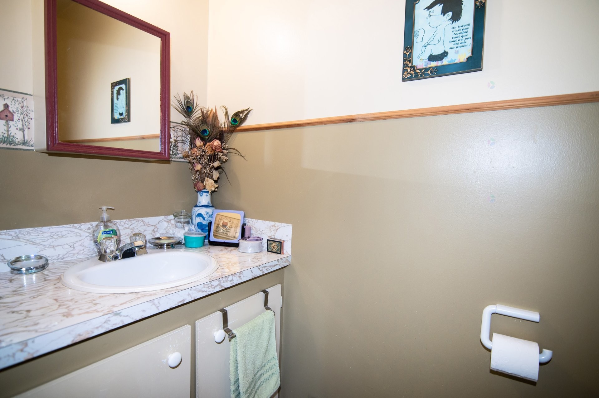 Logement - 649 - 651 Av. Langlais, Saint-Pascal, QC - Indoor Photo Showing Bathroom