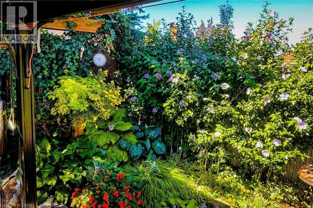 Lush garden space featuring vibrant foliage and blooming plants - 146 Locheed Drive, Hamilton, ON - Outdoor