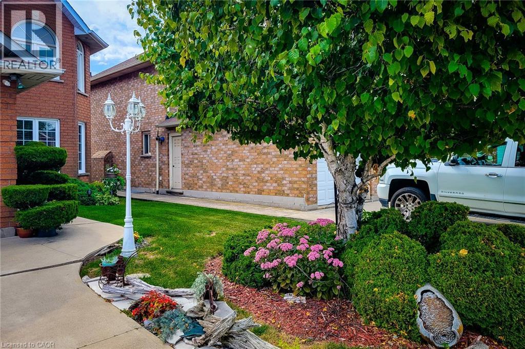 Manicured front yard featuring a white multi-fixture lamppost, mature birch tree, established shrubbery, and diverse plantings - 146 Locheed Drive, Hamilton, ON - Outdoor