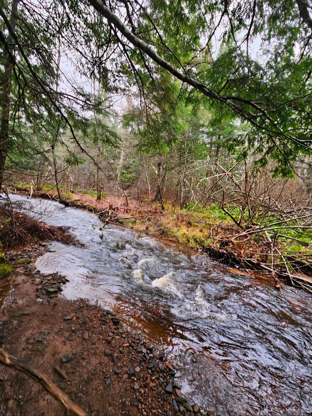 V/L 368 Highway, Wentworth, NS