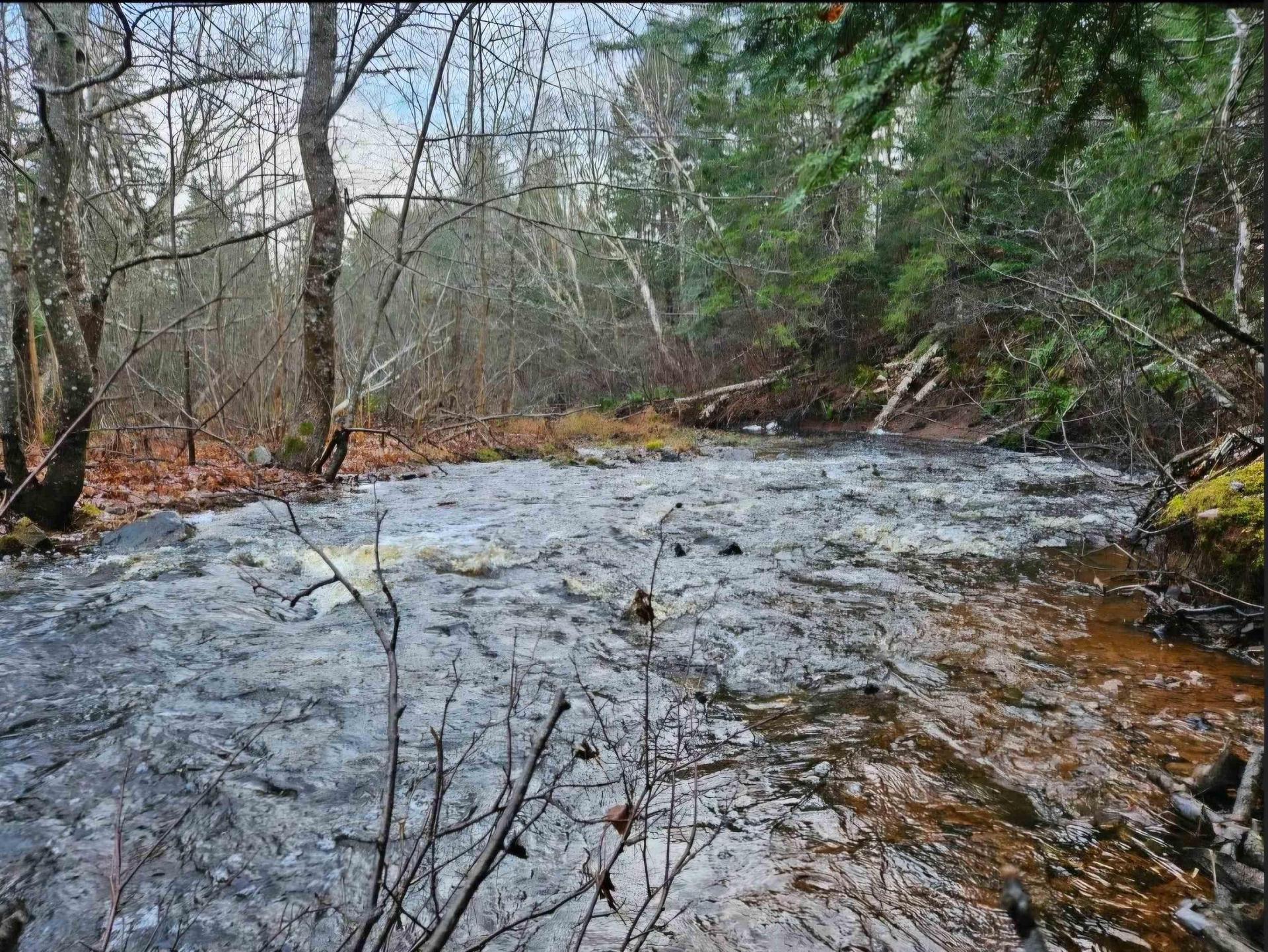 V/L 368 Highway, Wentworth, NS