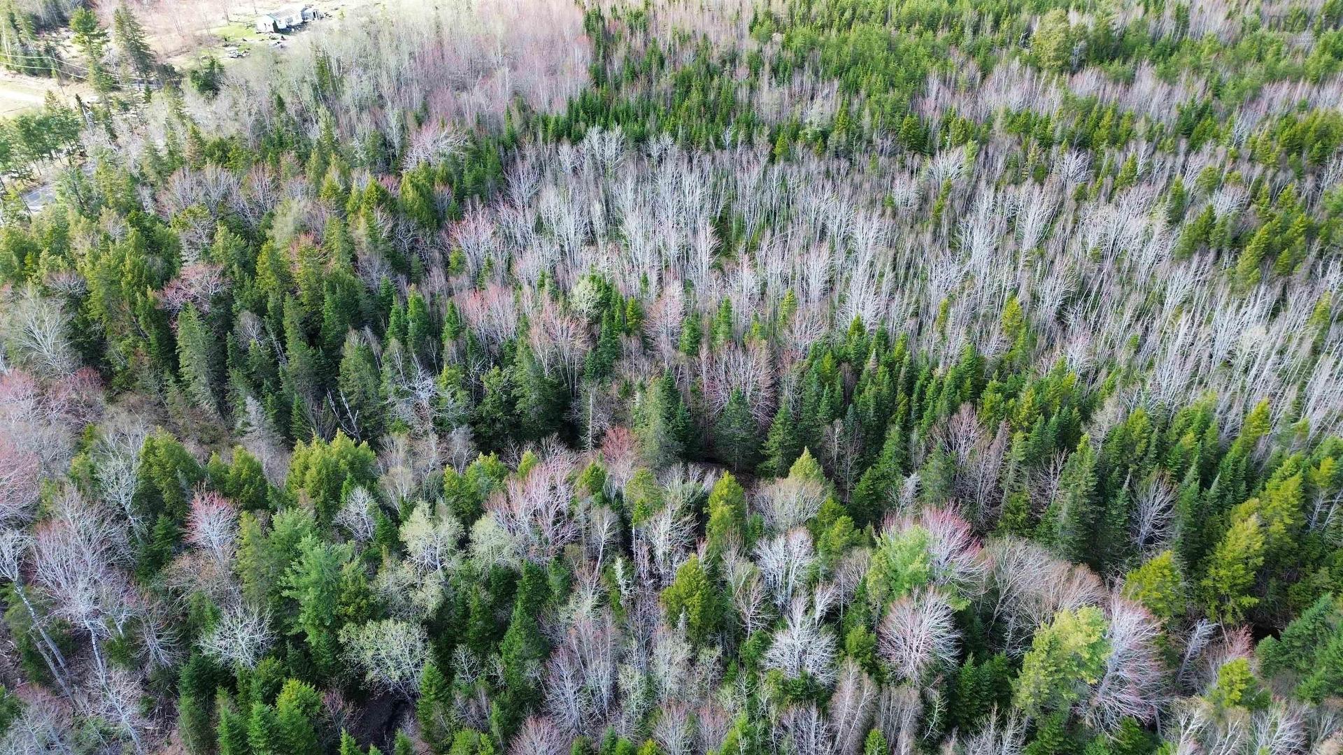 V/L 368 Highway, Wentworth, NS