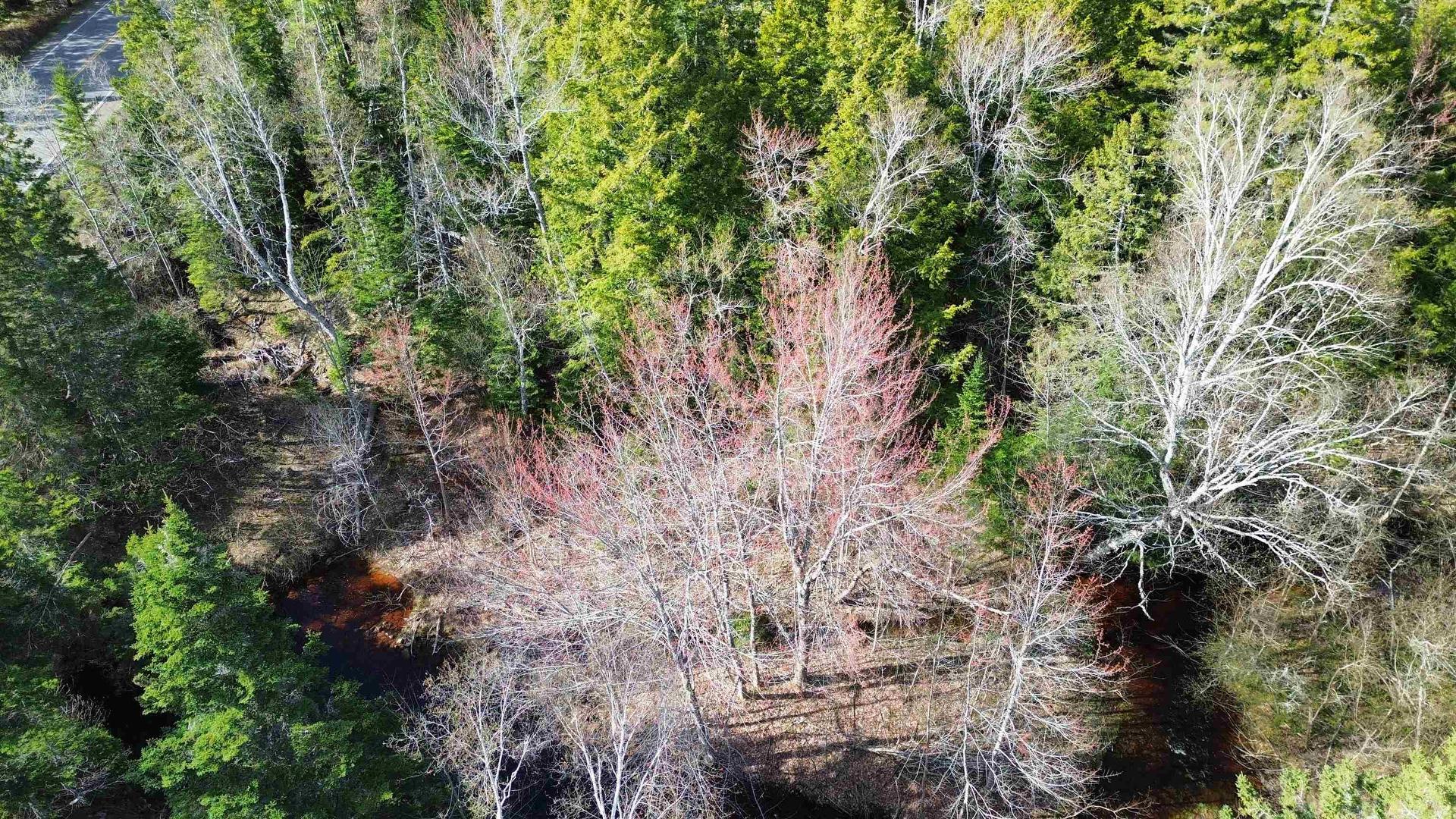 V/L 368 Highway, Wentworth, NS