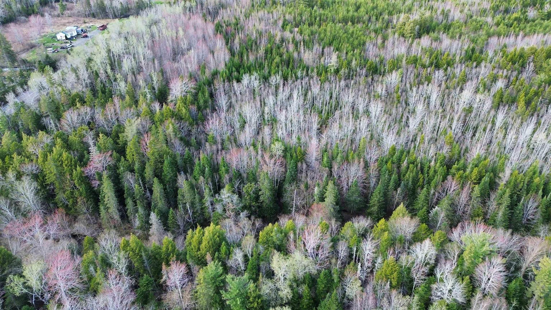 V/L 368 Highway, Wentworth, NS