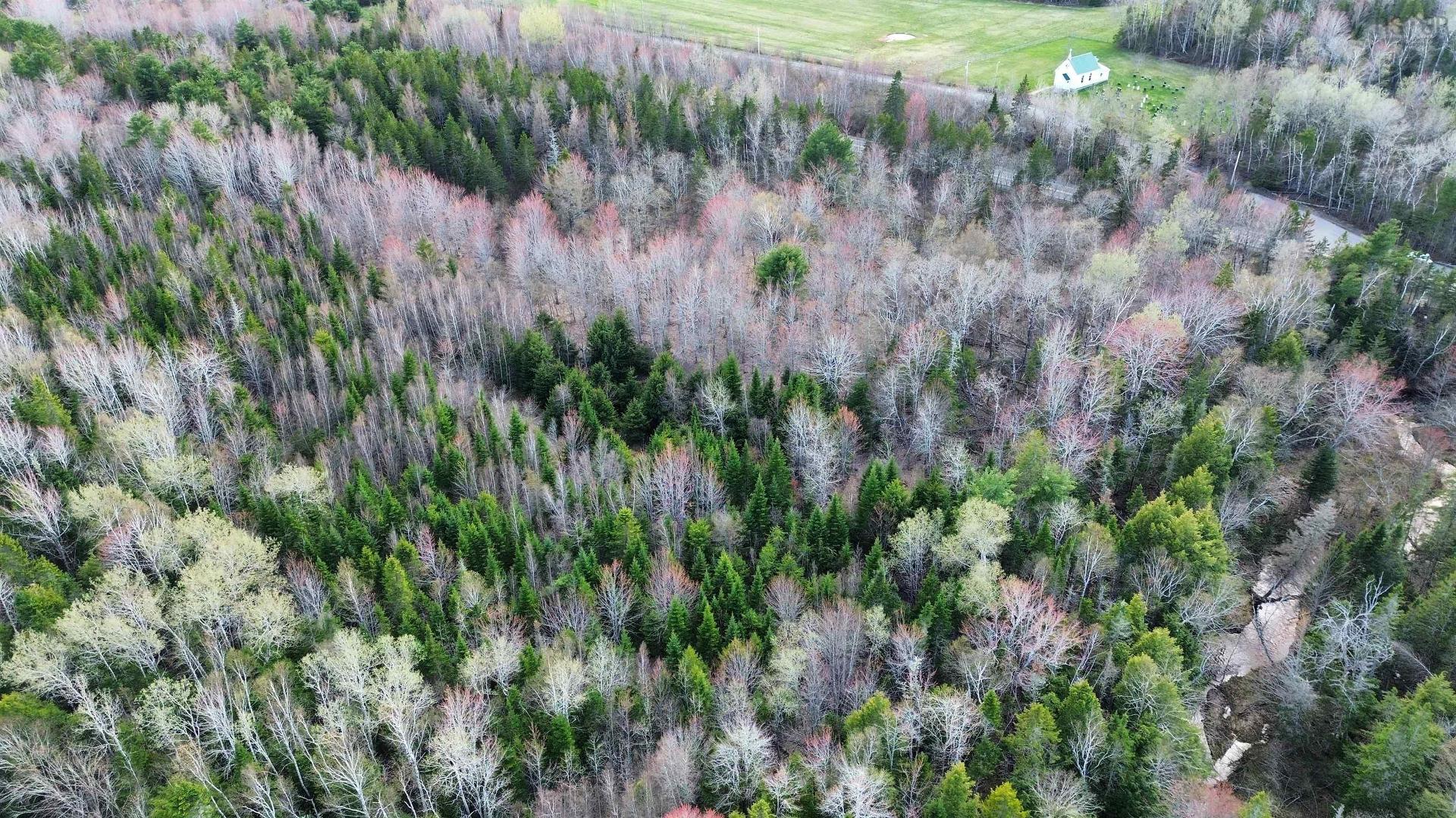 V/L 368 Highway, Wentworth, NS