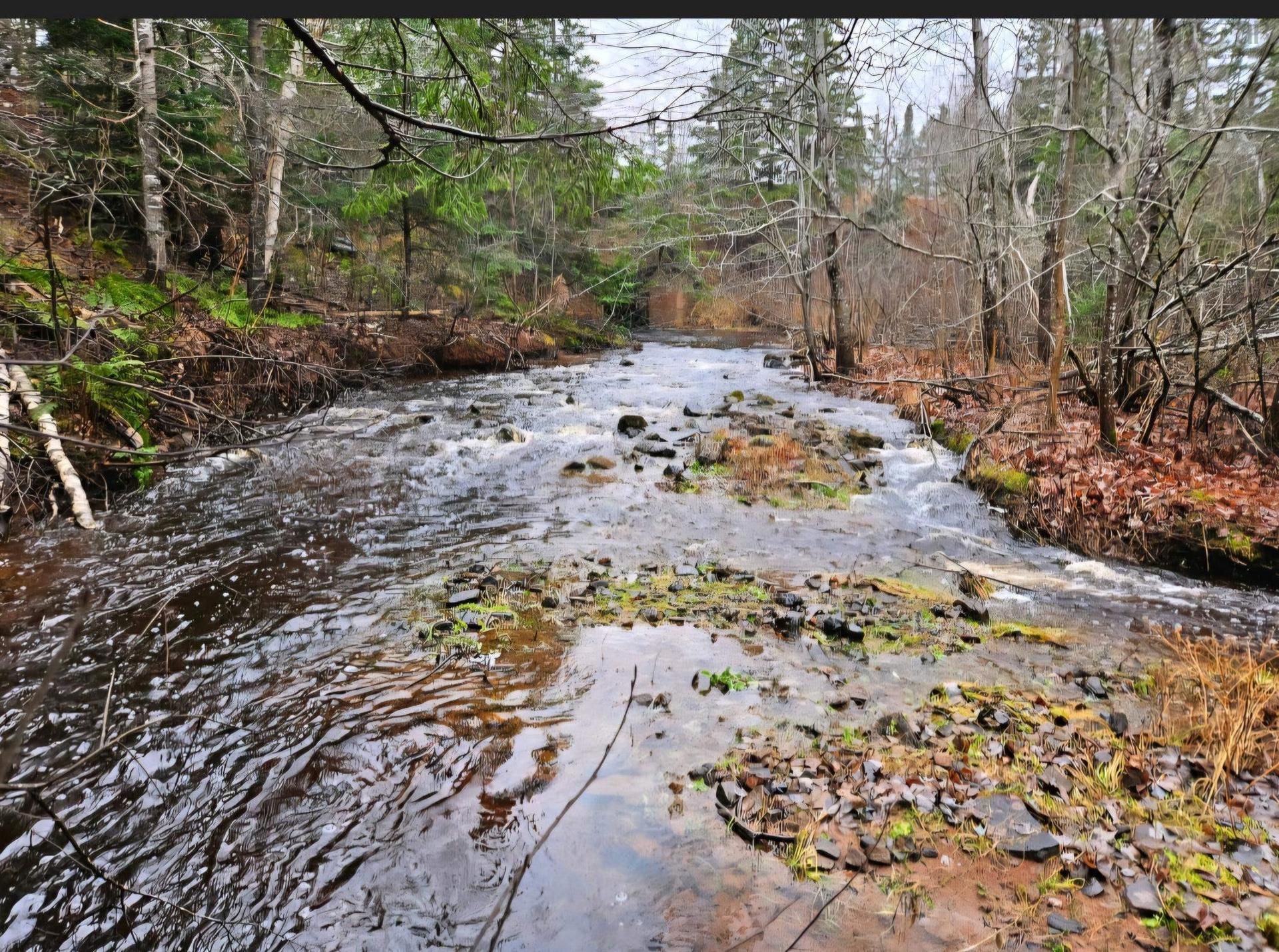 V/L 368 Highway, Wentworth, NS