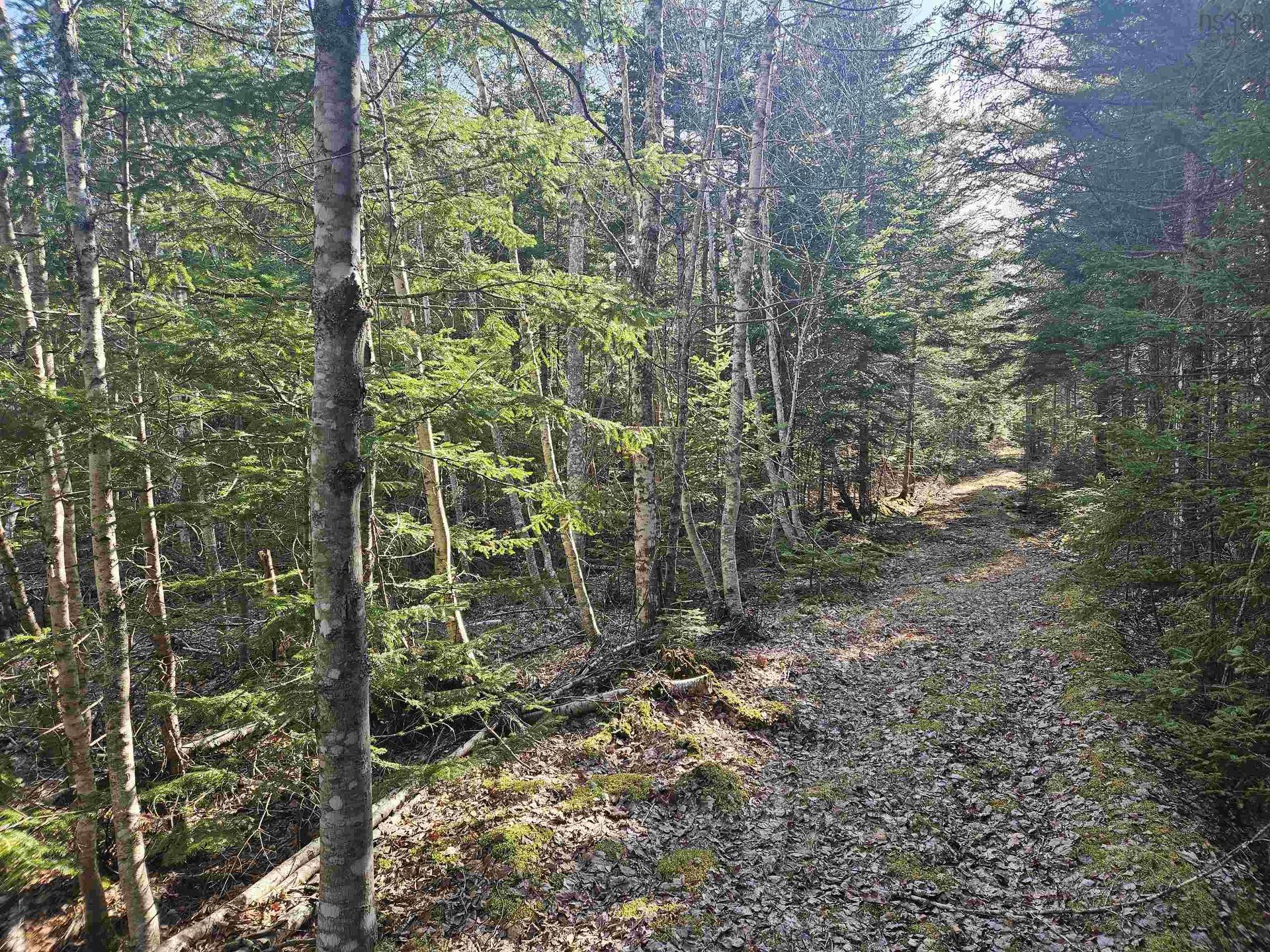 V/L 368 Highway, Wentworth, NS