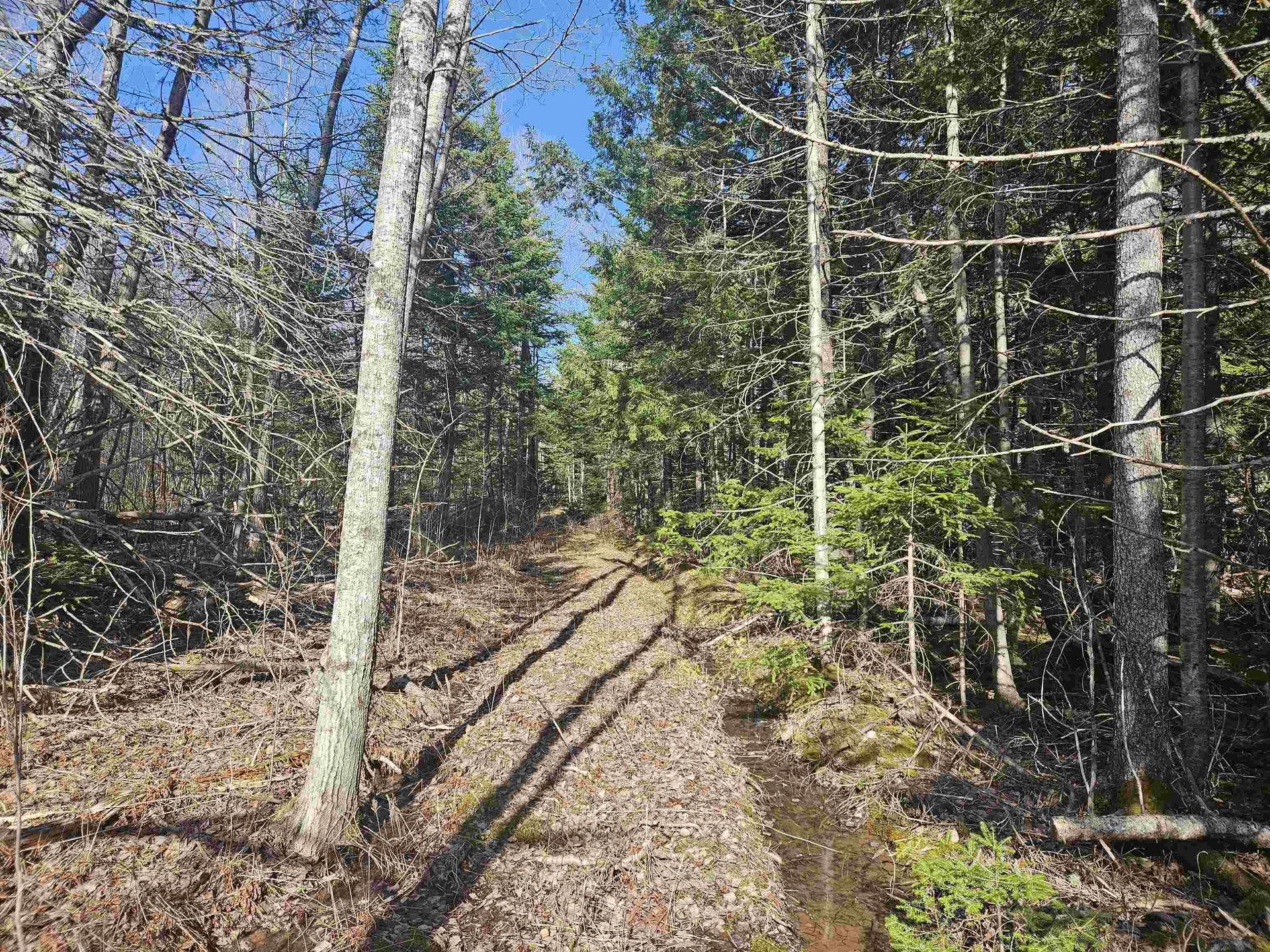 V/L 368 Highway, Wentworth, NS