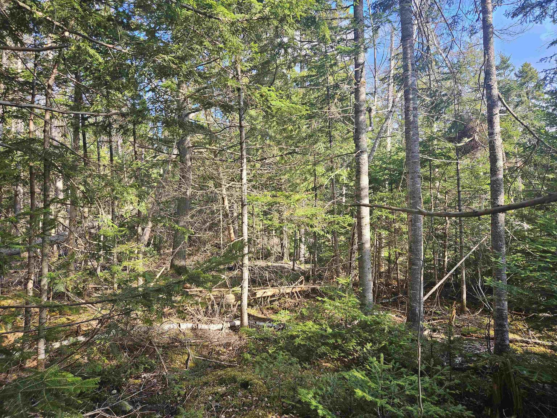 V/L 368 Highway, Wentworth, NS