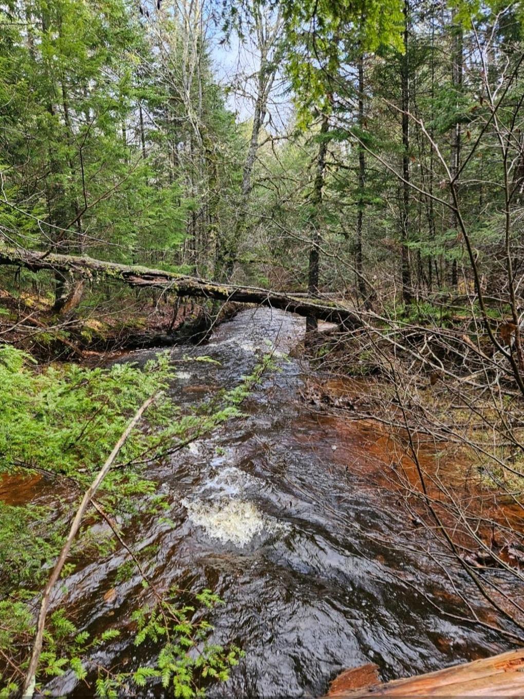 V/L 368 Highway, Wentworth, NS