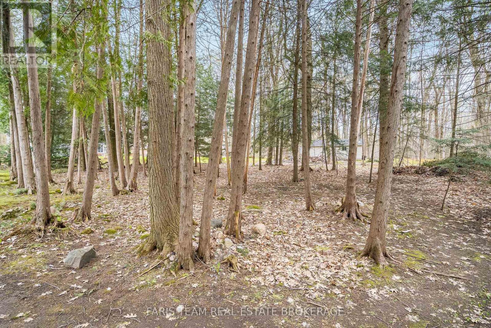 20 Mourning Dove Trail, Tiny, ON - Outdoor With View
