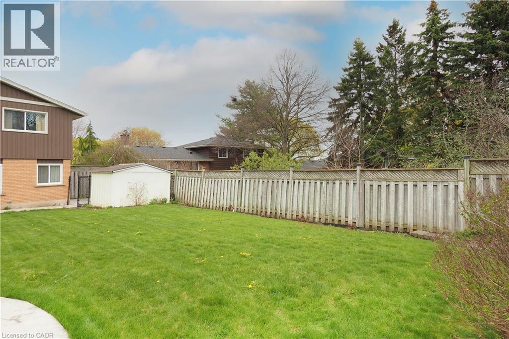 Back yard - 76 Cloverdale Crescent, Kitchener, ON - Outdoor