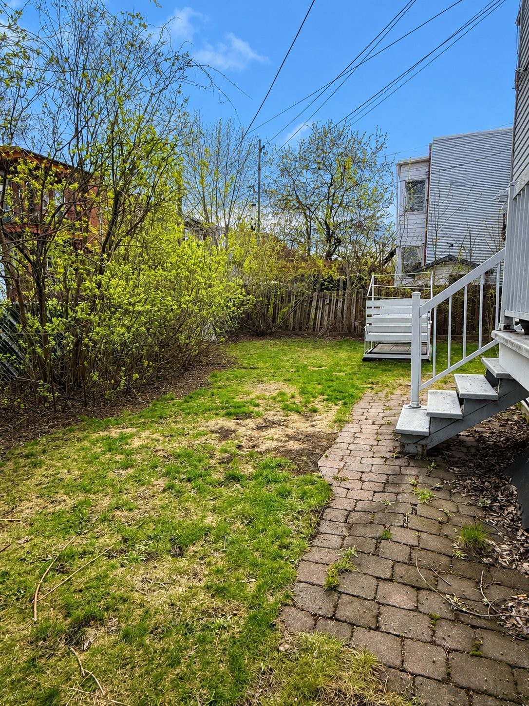 Courtyard - 1-5416 14E Avenue, Montréal (Rosemont/La Petite-Patrie), QC - Outdoor