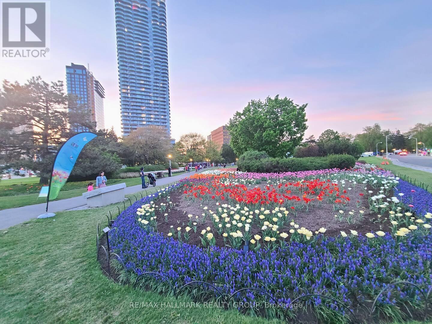 Tulip Festival is not too far! - 474 Somerset Street W, Ottawa, ON
